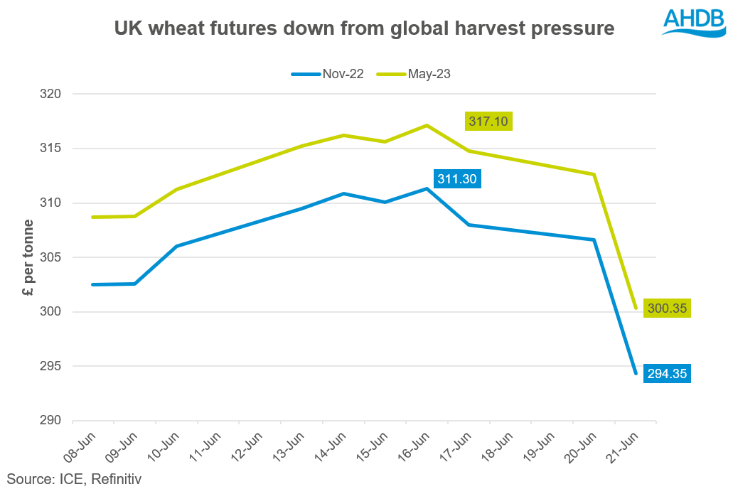 A graph showing domestic feed wheat futures.